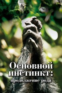  Основной инстинкт. Продолжение рода 1 сезон