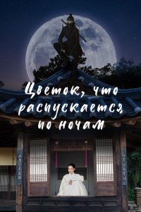  Ночной цветок 1 сезон