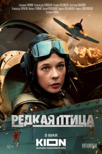  Редкая птица 1 сезон