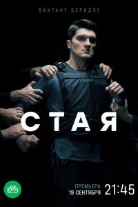  Стая 1 сезон