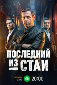  Последний из стаи 1 сезон