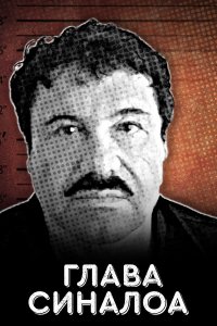 Глава Синалоа Глава Синалоа