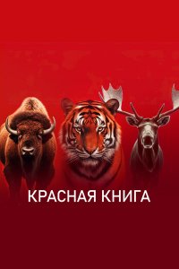  Красная книга 1 сезон