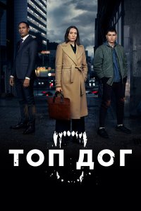  Топ дог 1-2 сезон