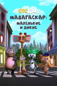  Мадагаскар: Маленькие и дикие 1-4 сезон