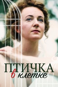  Птичка в клетке 1 сезон