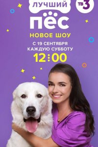  Лучший пёс 1 сезон