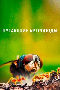  Пугающие артроподы 1 сезон