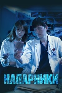  Напарники 1-2 сезон