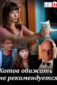  Котов обижать не рекомендуется 1 сезон