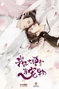  Кошка из палаты по уголовным делам 1 сезон