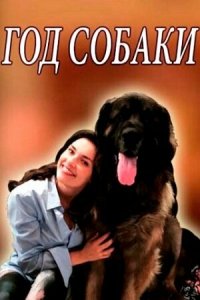  Год собаки 1 сезон