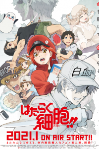  Работа клеток 1-2 сезон