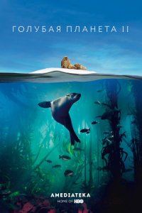  Голубая планета 2 1 сезон