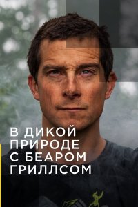  В дикой природе с Беаром Гриллсом 1-2 сезон