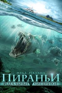  Пираньи: Идеальные хищники 