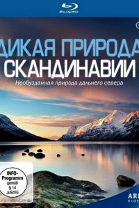 Дикая природа Скандинавии 1 сезон