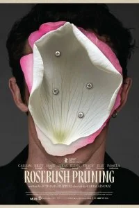  Подрезка кустов роз 