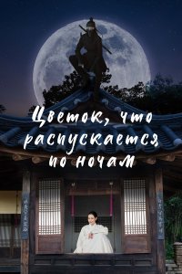  Ночной цветок 1 сезон