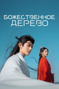  В Сендае растут деревья 1 сезон