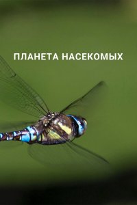  Планета насекомых 1 сезон